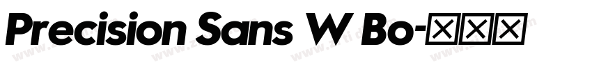 Precision Sans W Bo字体转换